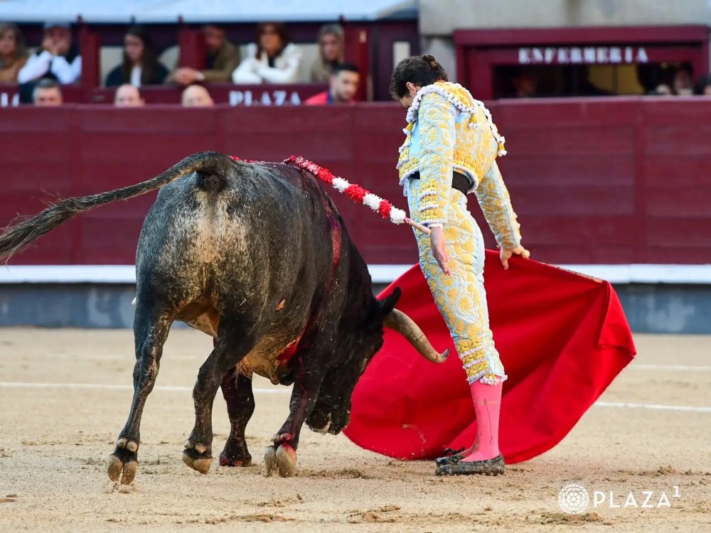 Imagen 1