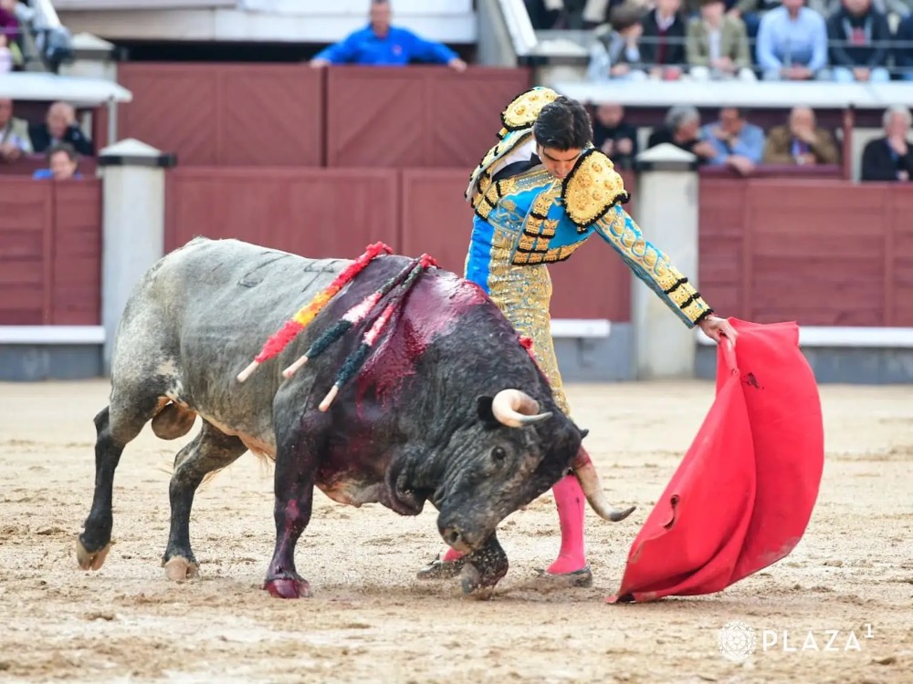 Imagen 1