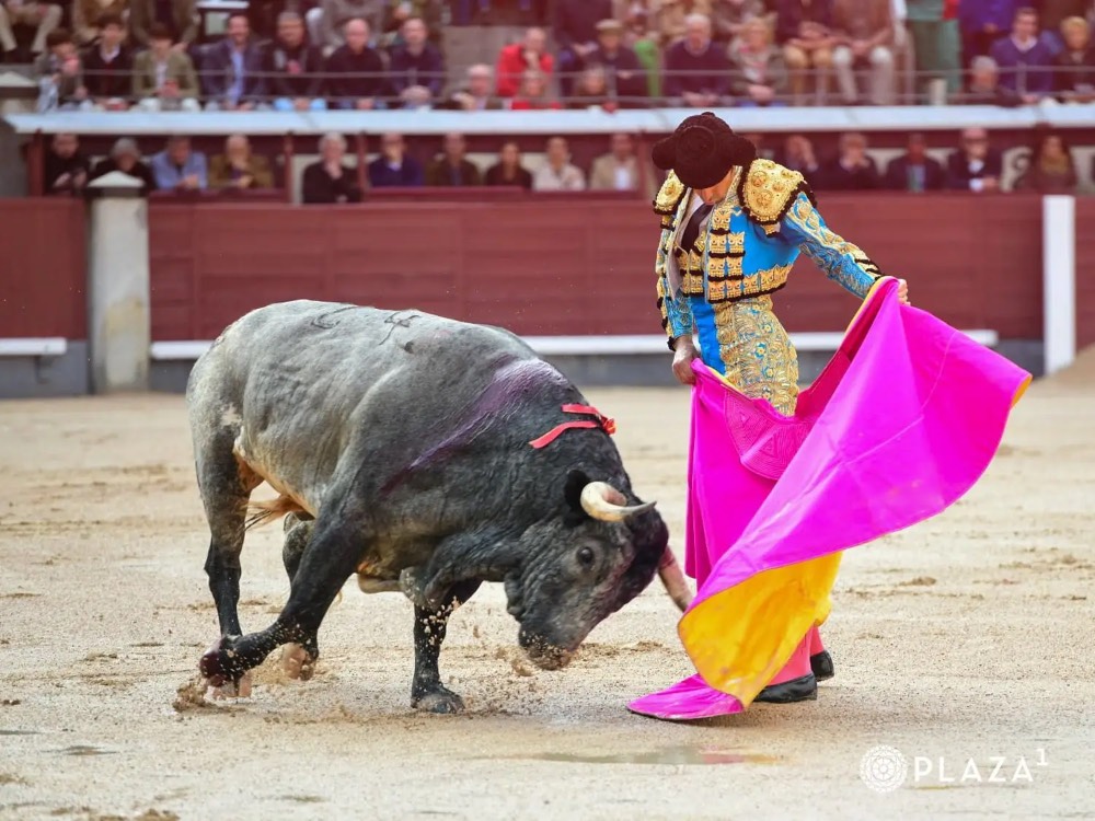 Imagen 2