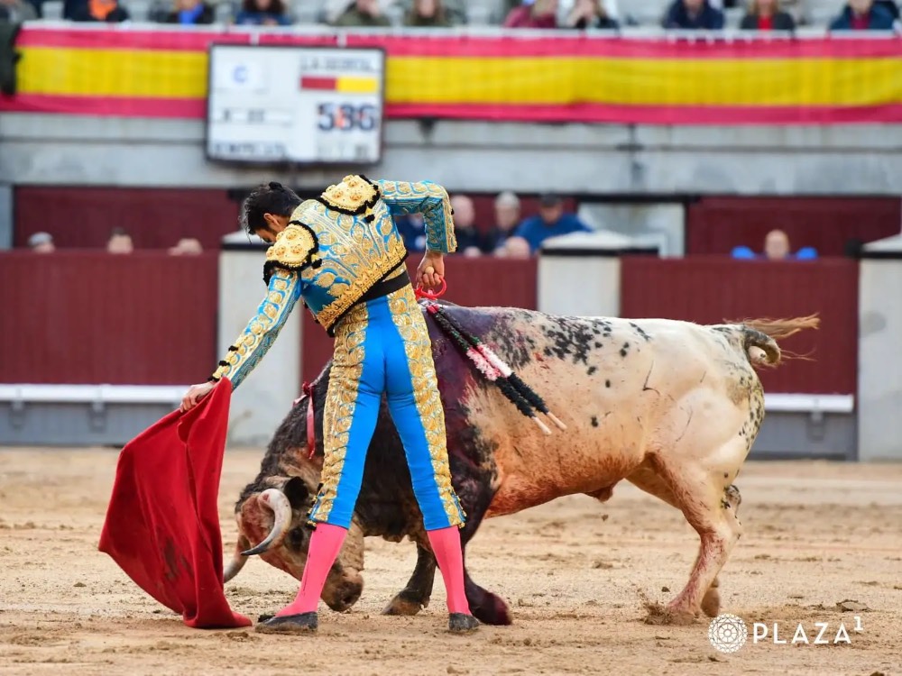 Imagen 3