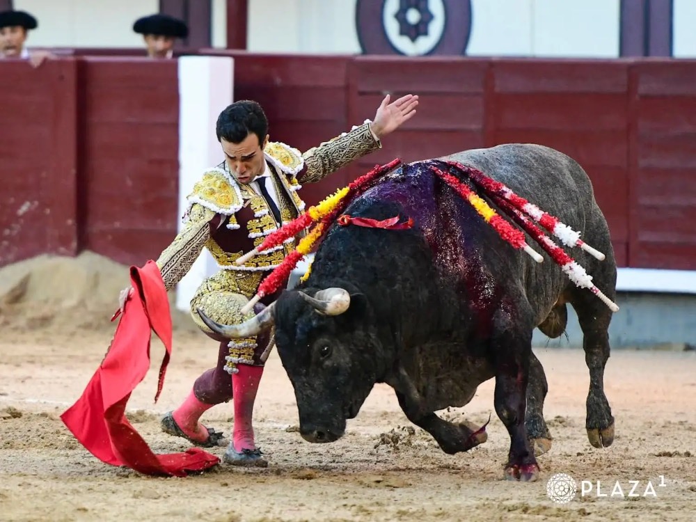 Imagen 3