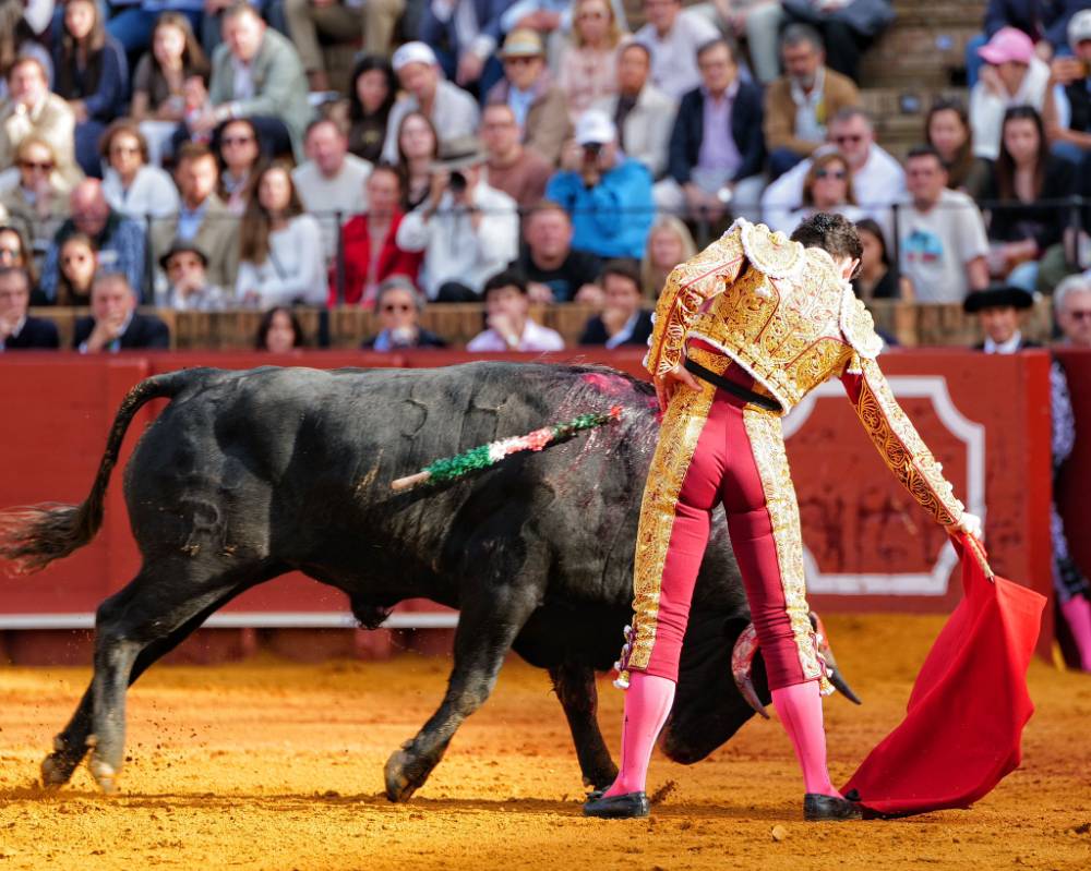 Imagen 5
