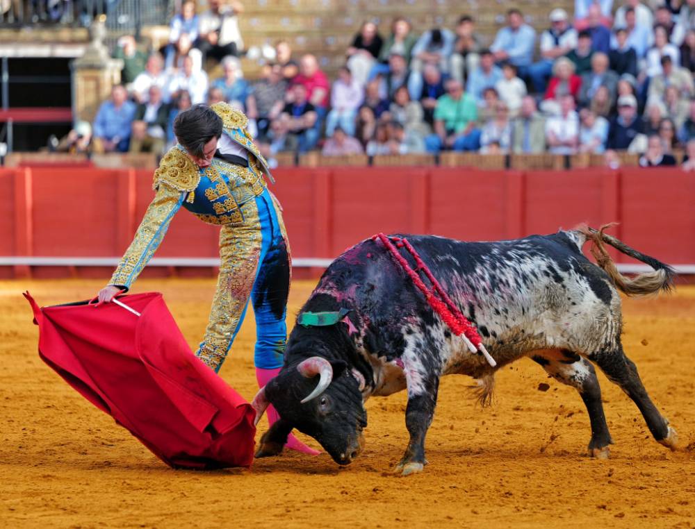 Imagen 7