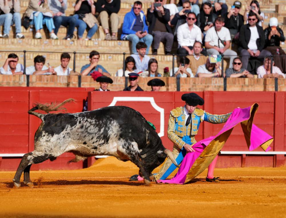 Imagen 8