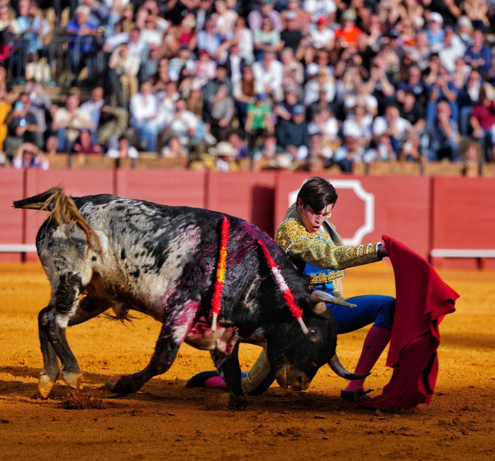 Imagen 9