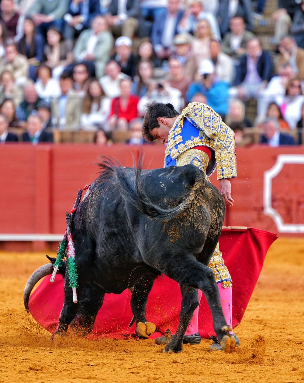 Imagen 12
