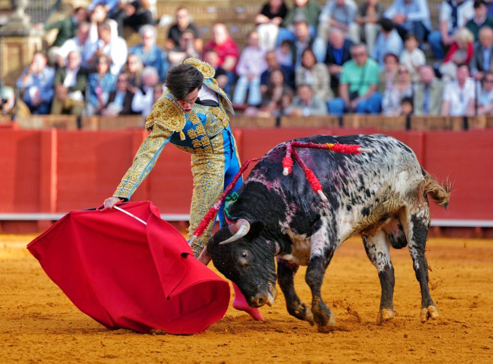 Imagen 15