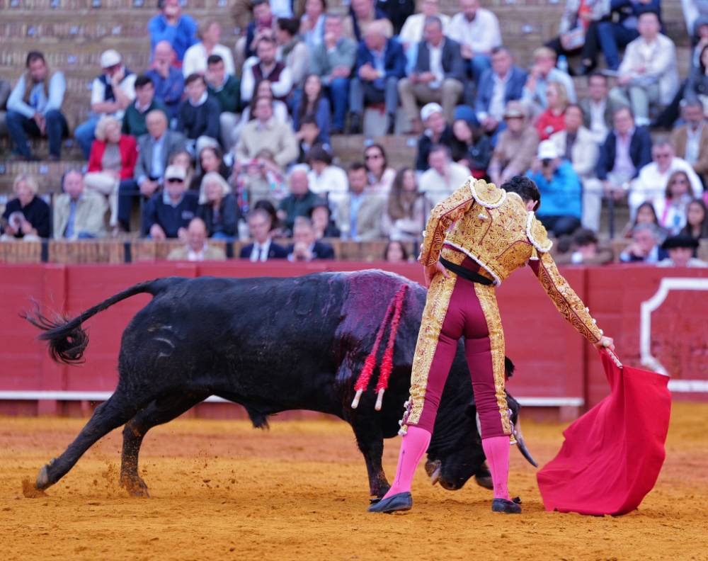 Imagen 17