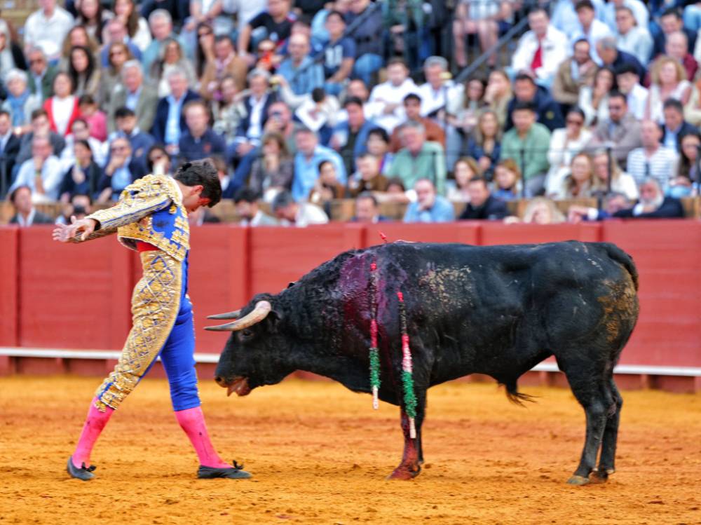 Imagen 18