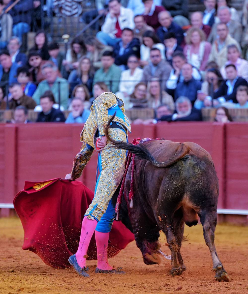 Imagen 19