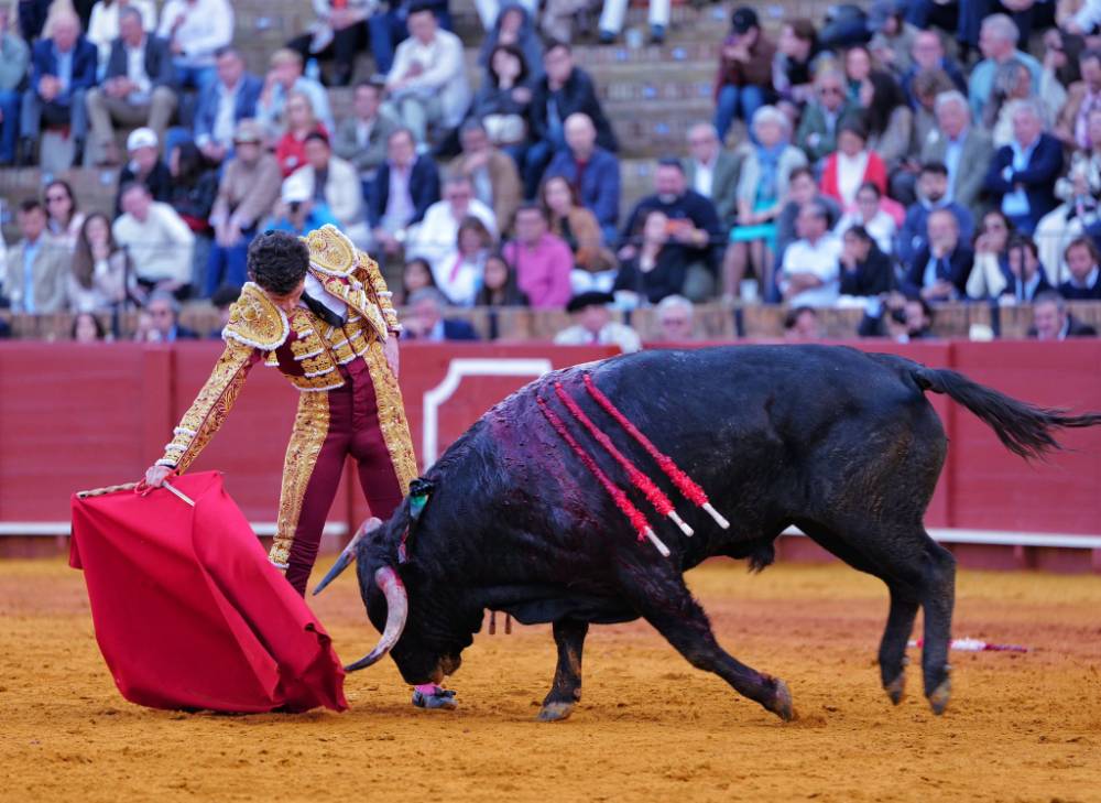 Imagen 22