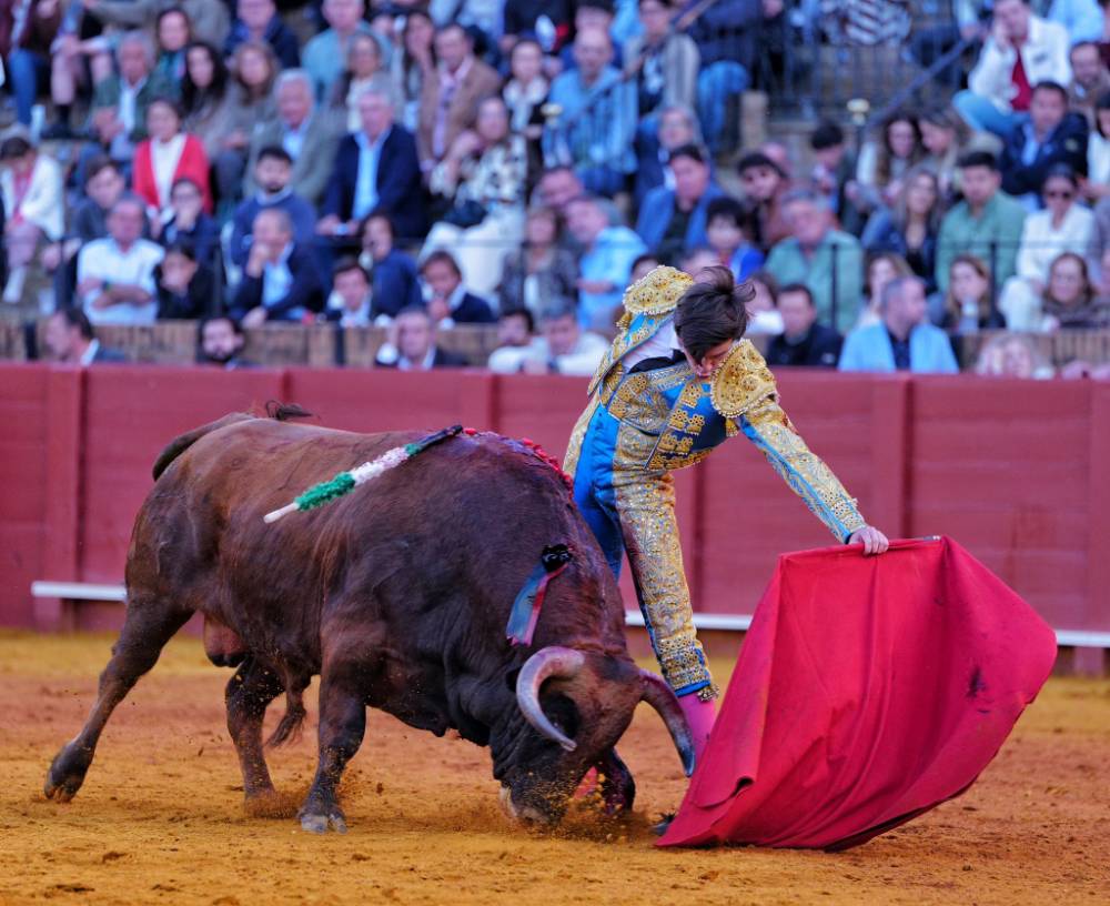 Imagen 30