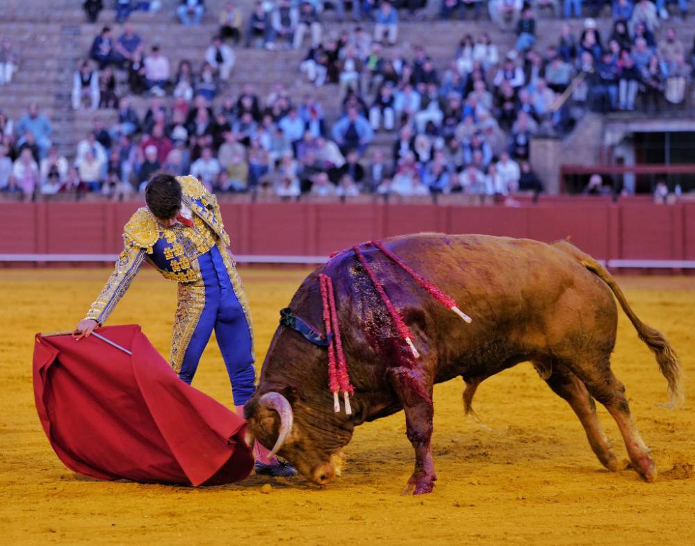 Imagen 31
