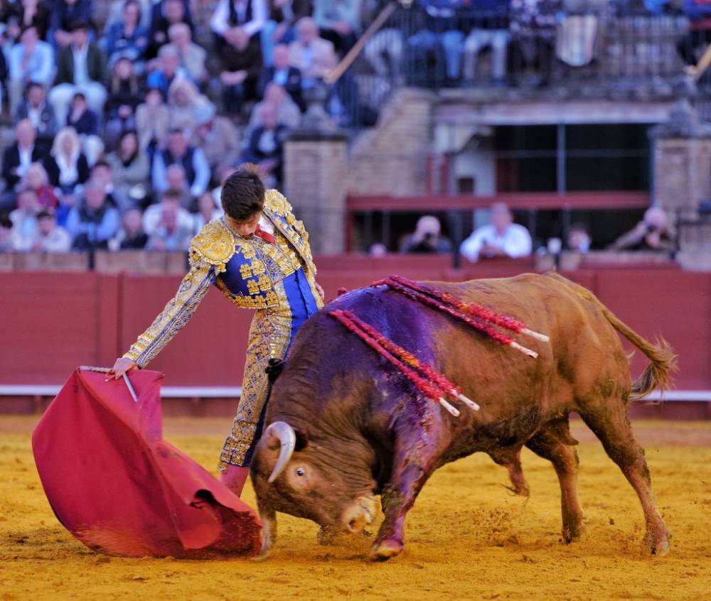 Imagen 33
