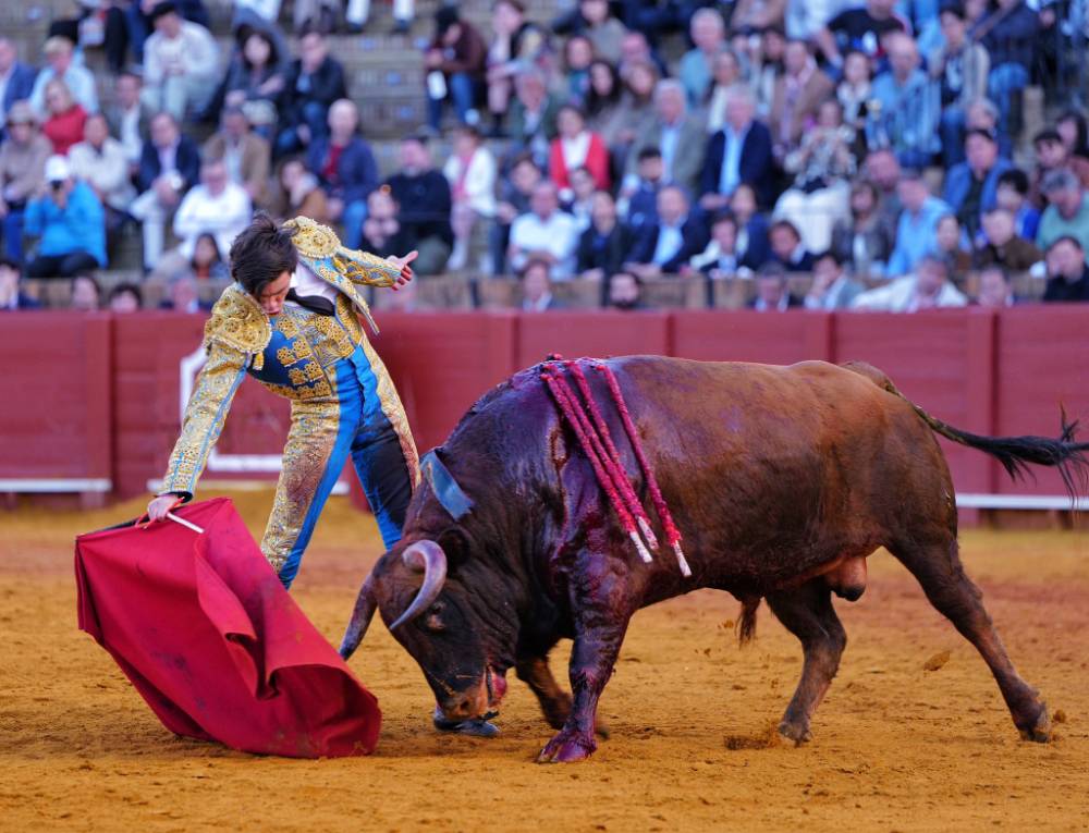 Imagen 35