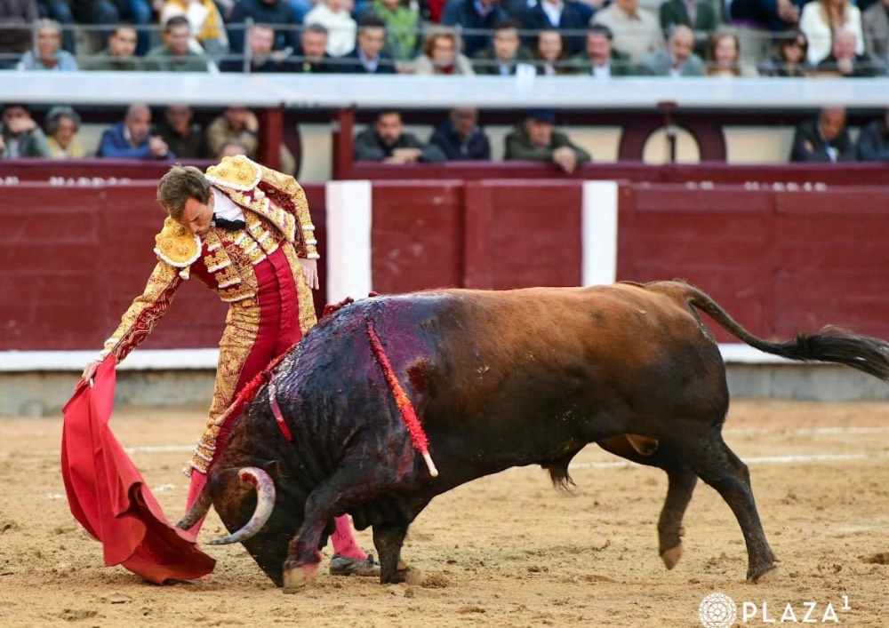 Imagen 1