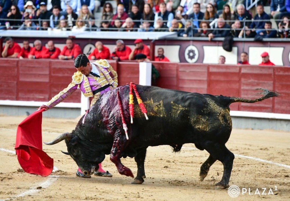 Imagen 3