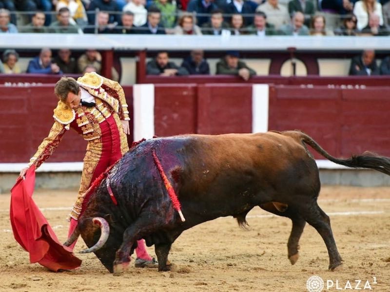 Imagen 1