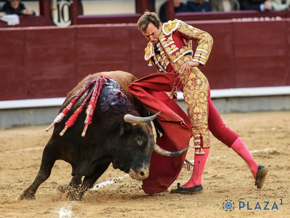 Imagen 4