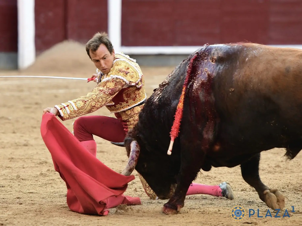 Imagen 5