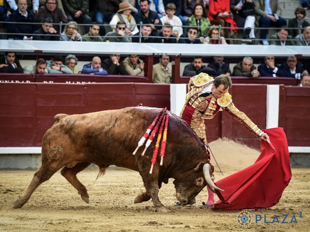 Imagen 6