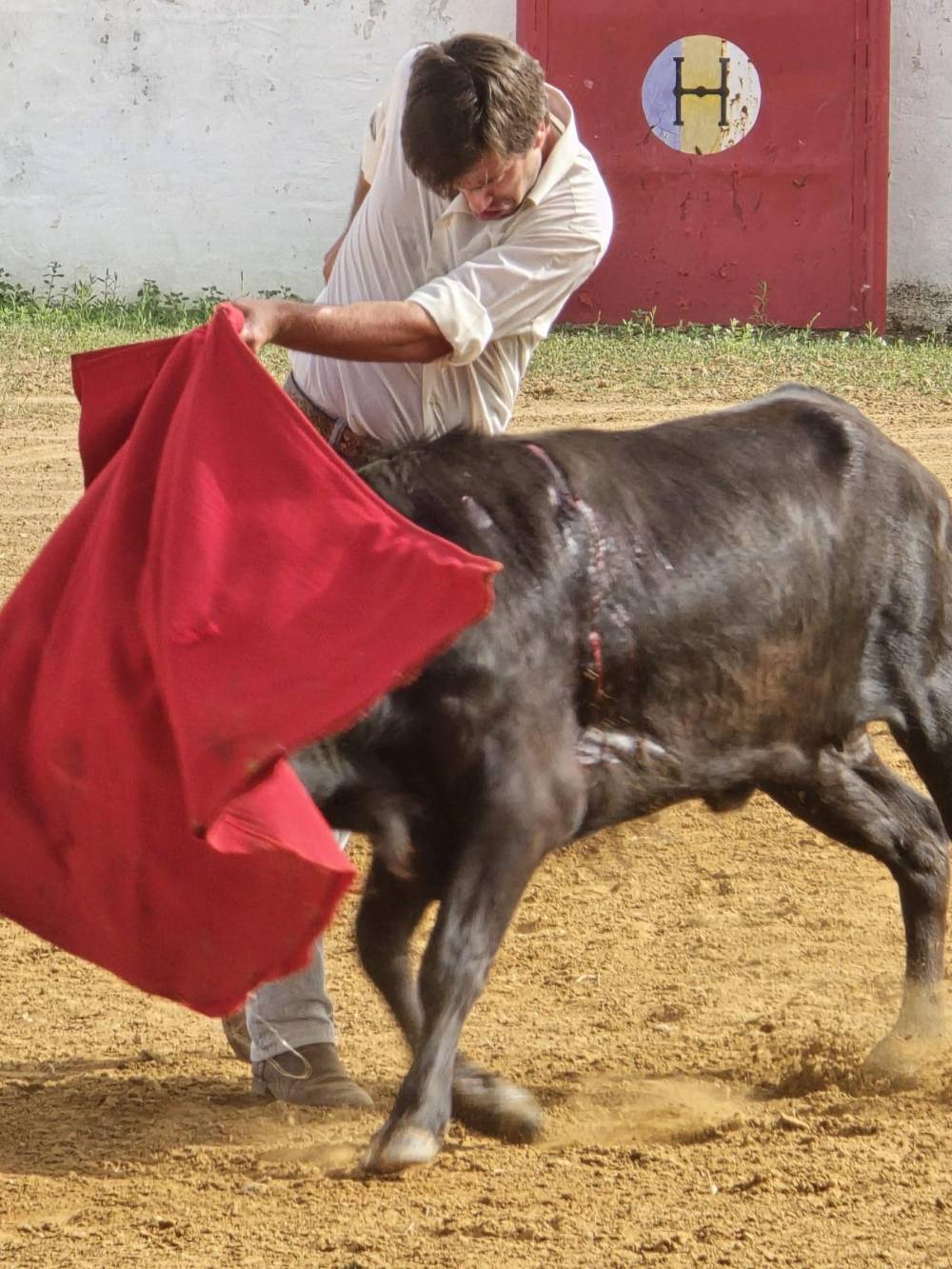 Imagen 2