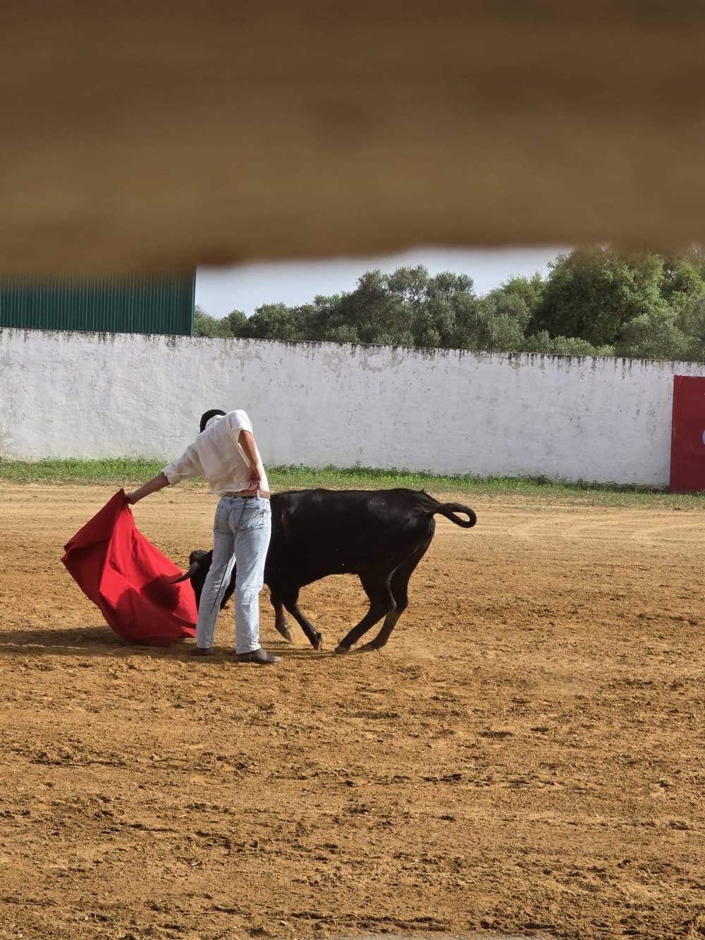 Imagen 3