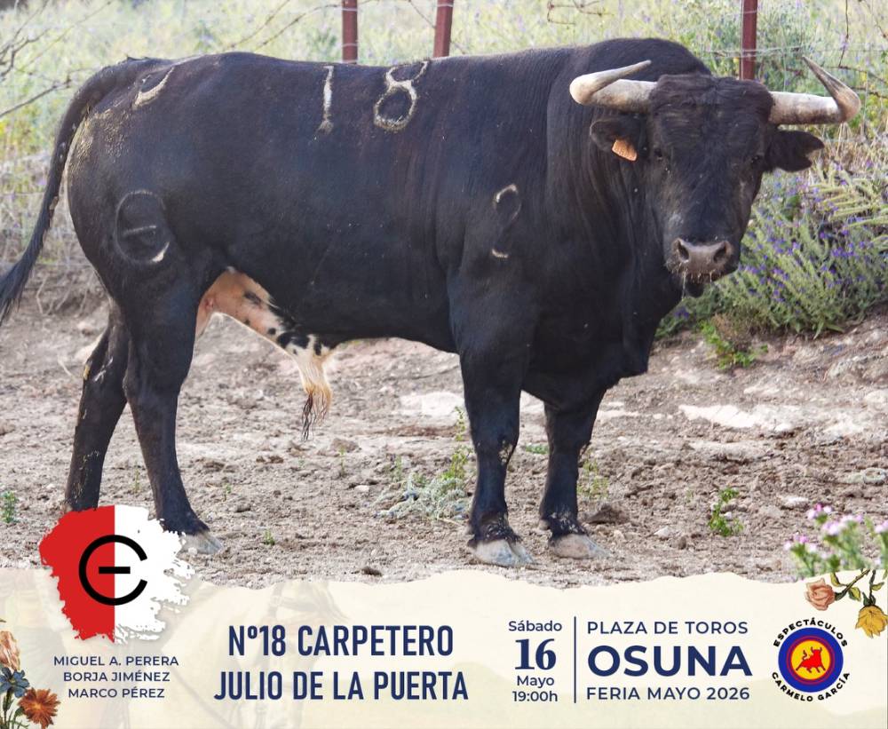 Imagen 6