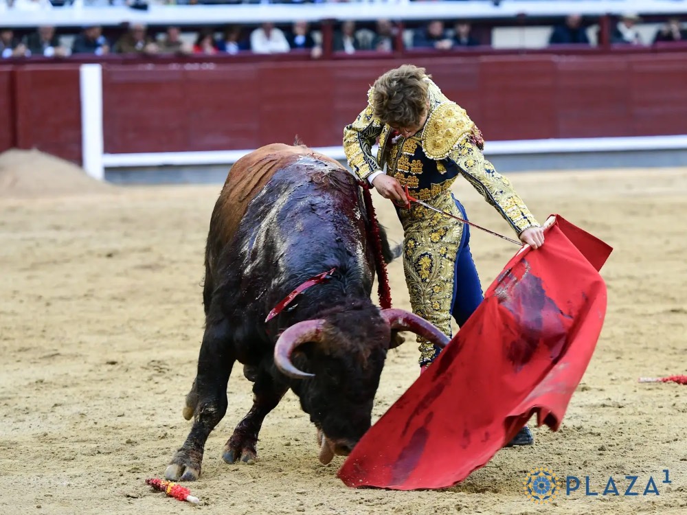 Imagen 1