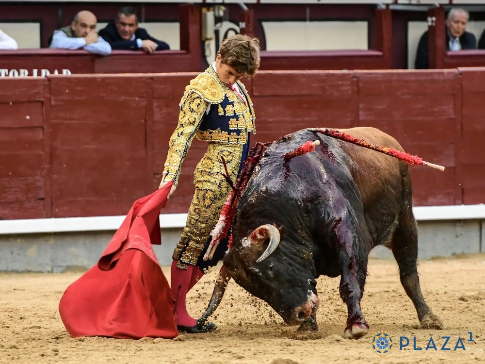 Imagen 2