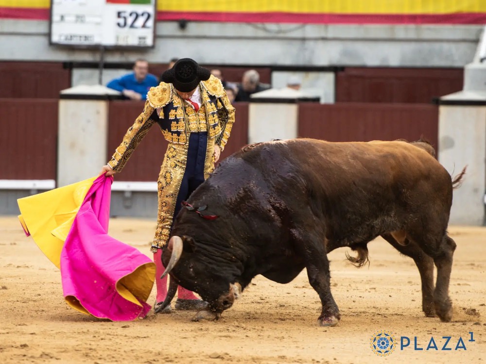 Imagen 4