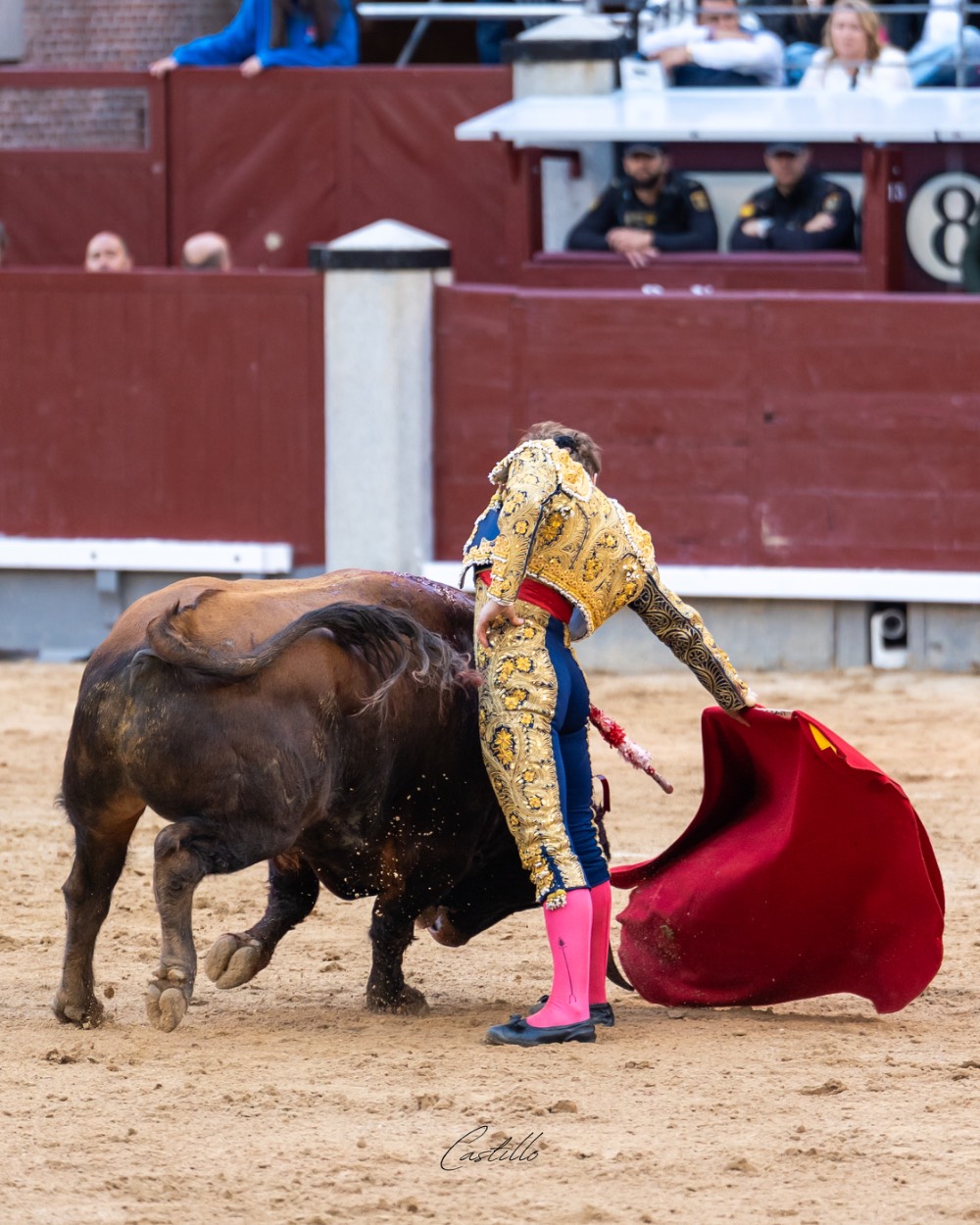 Imagen 6