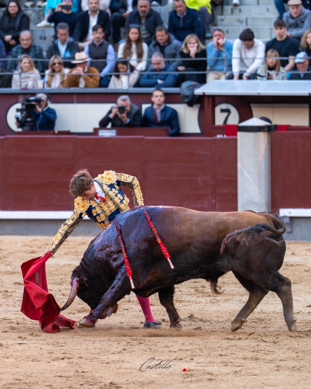 Imagen 8