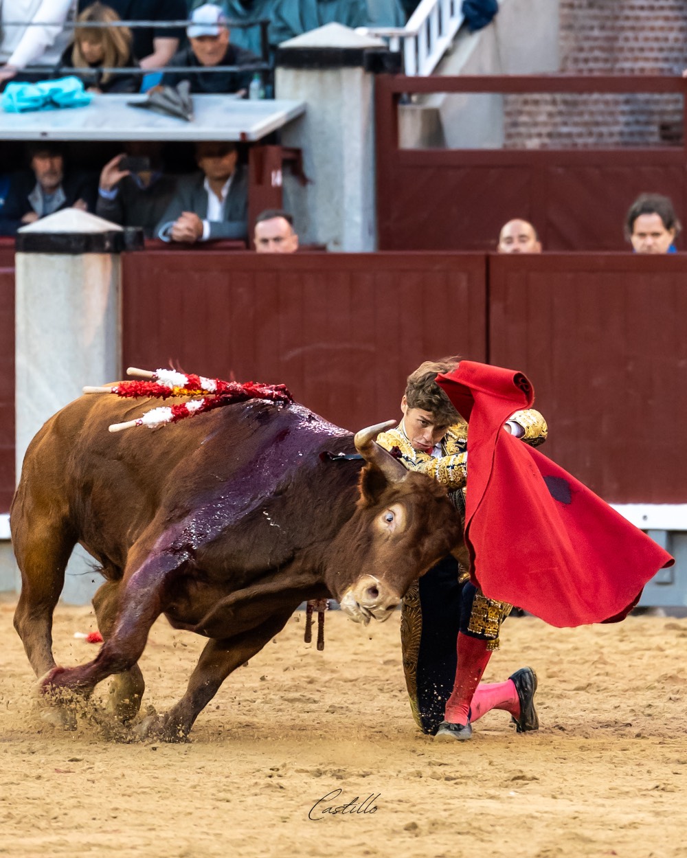 Imagen 12