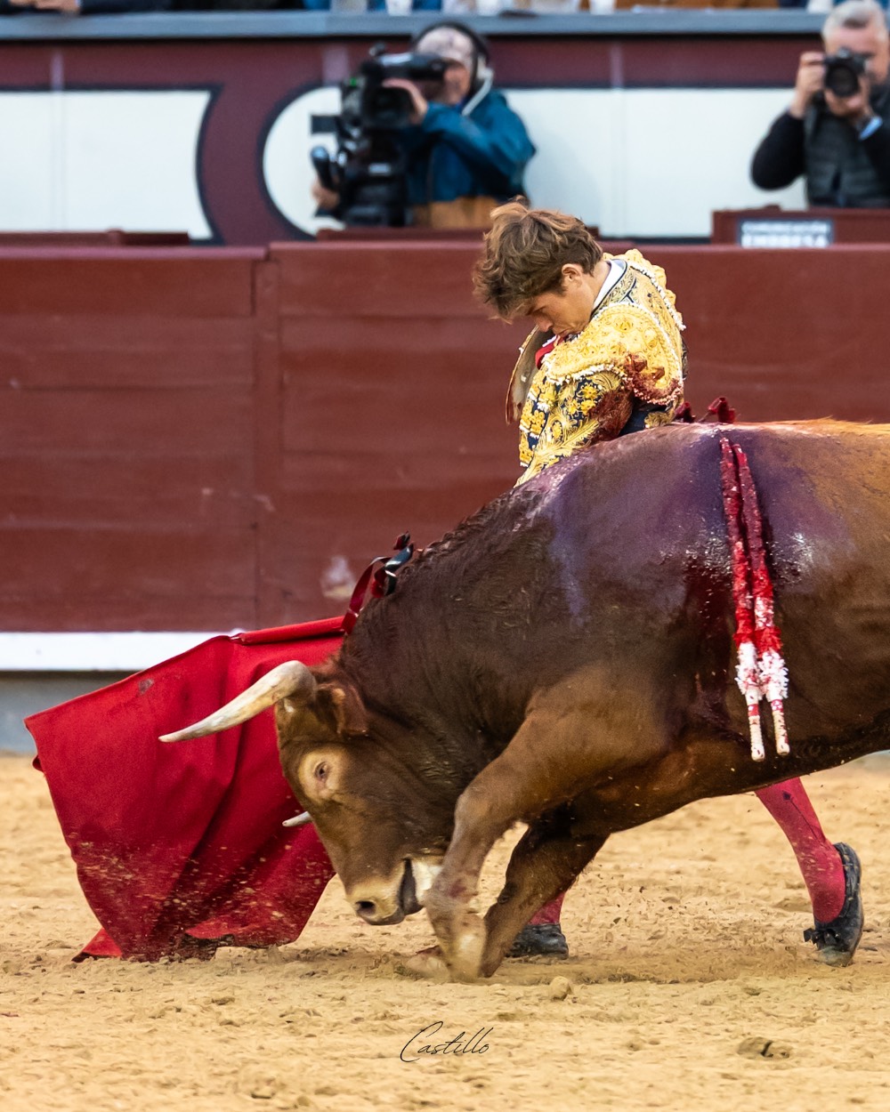 Imagen 13