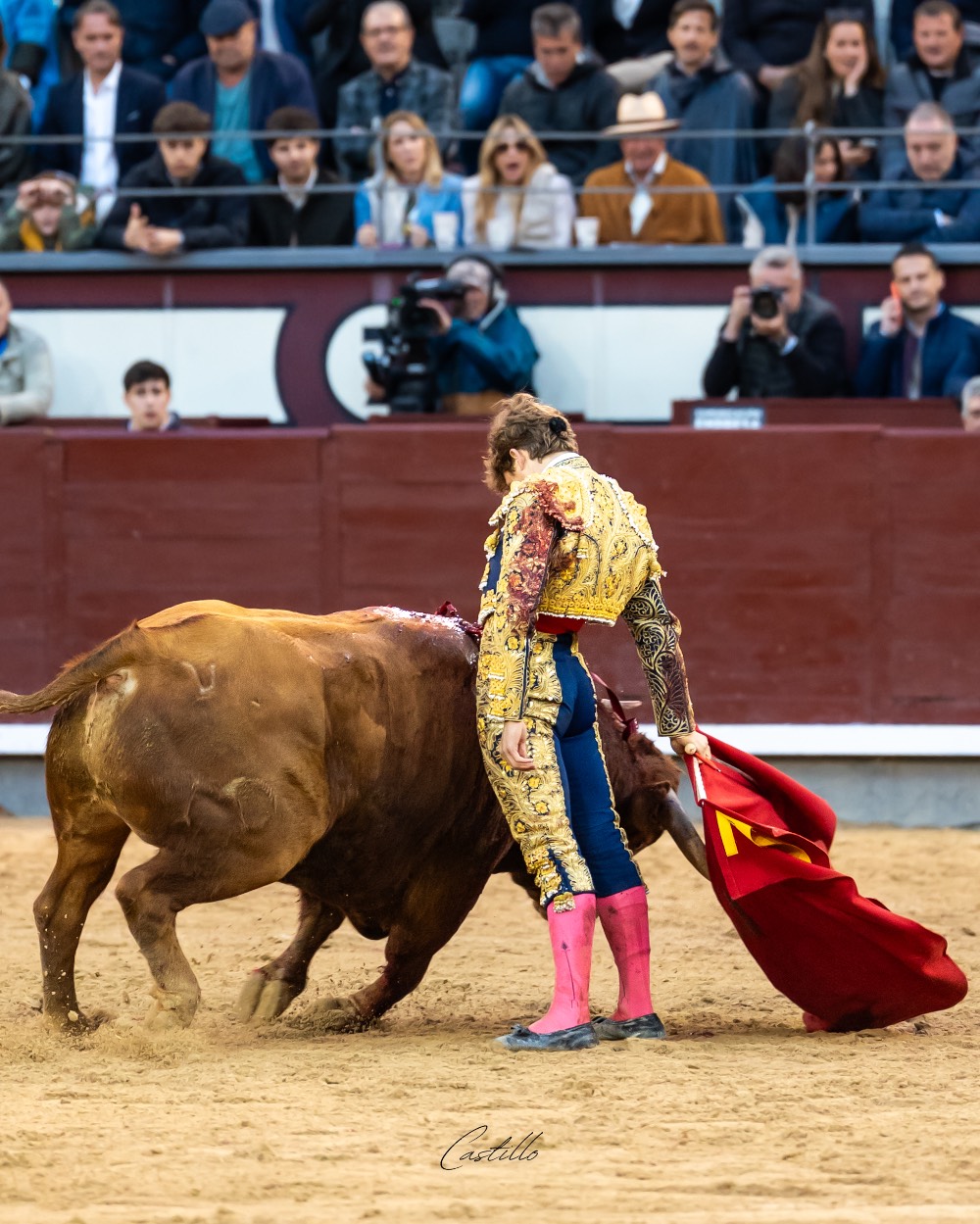Imagen 15
