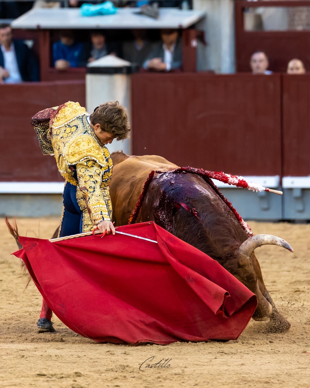 Imagen 16