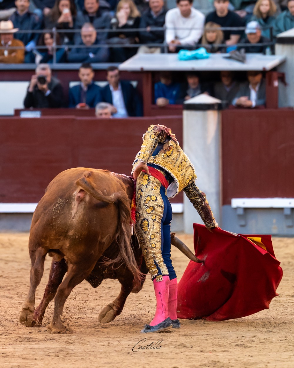 Imagen 17
