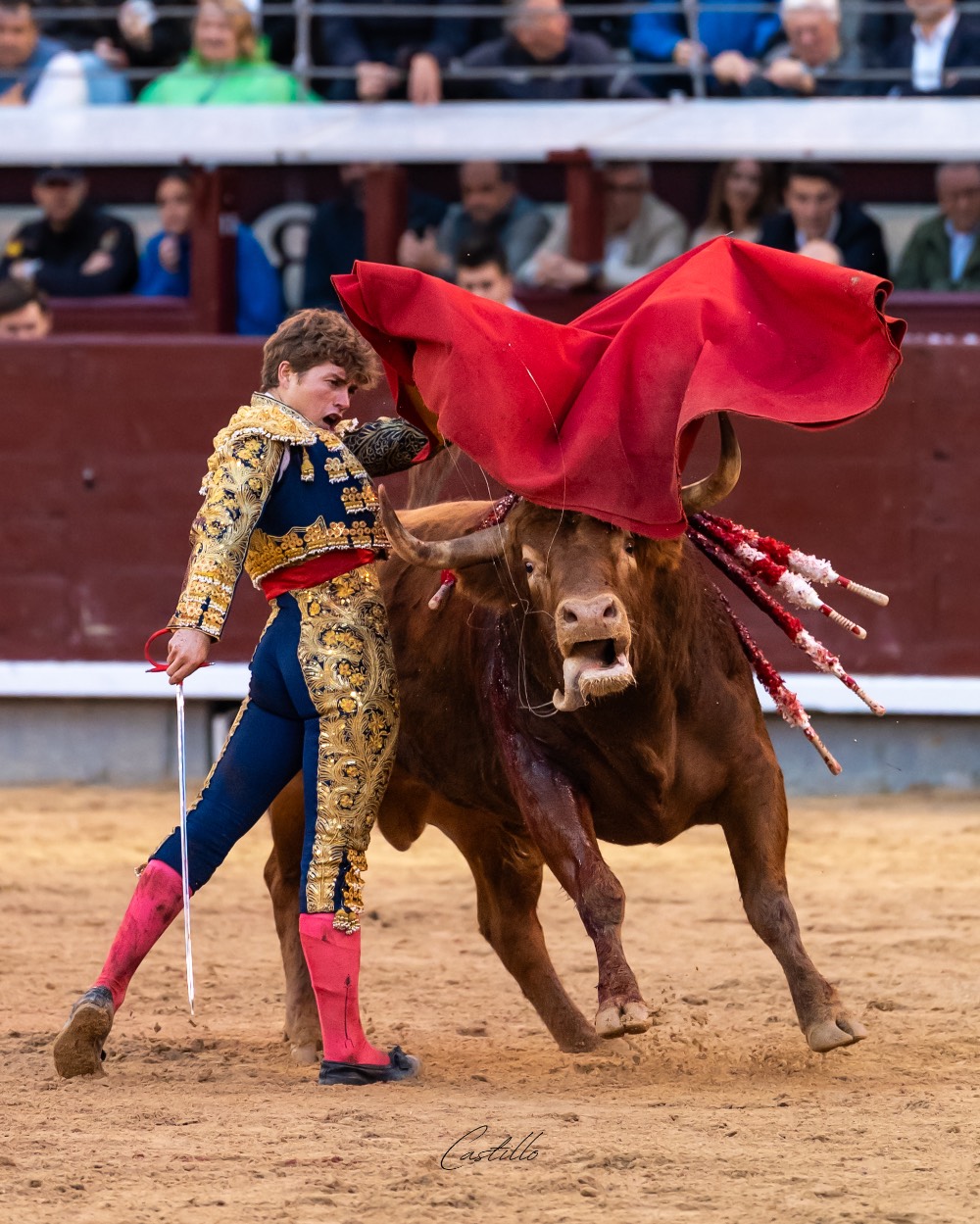 Imagen 18