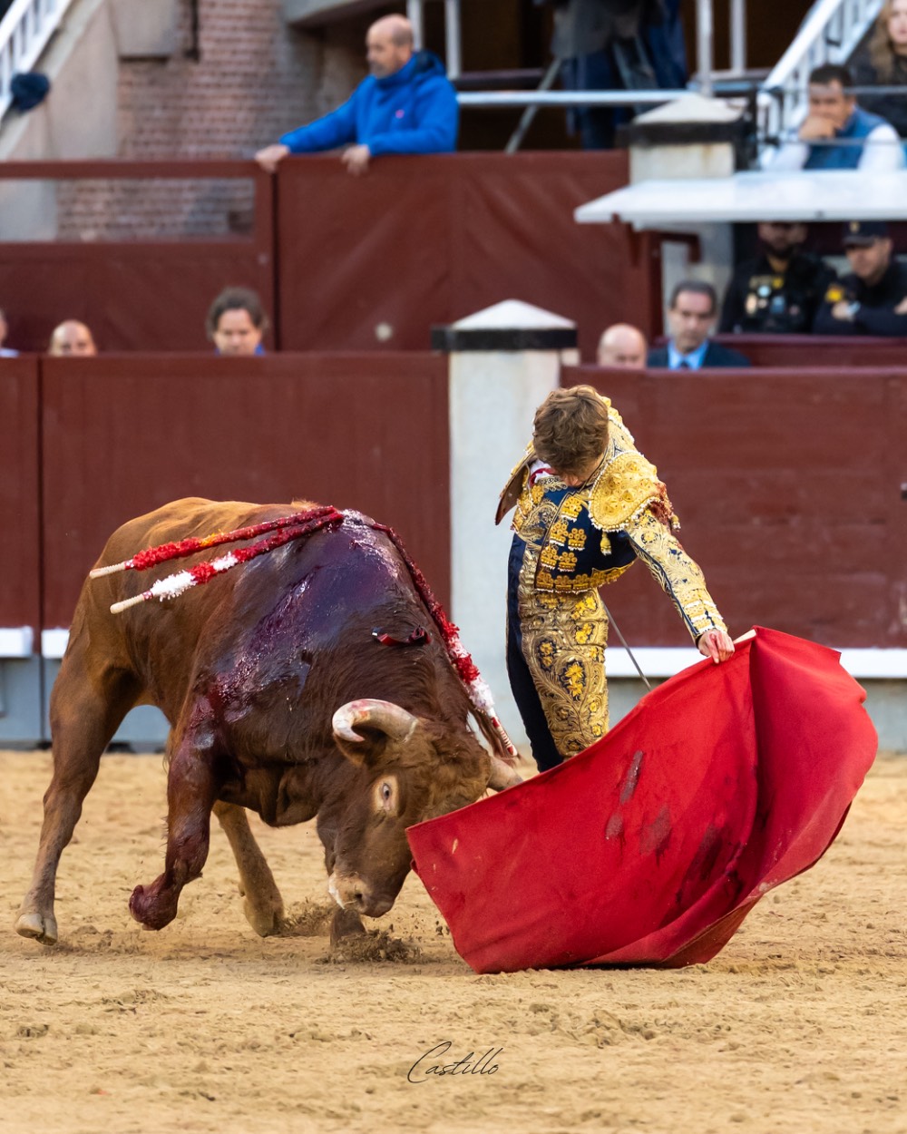 Imagen 19