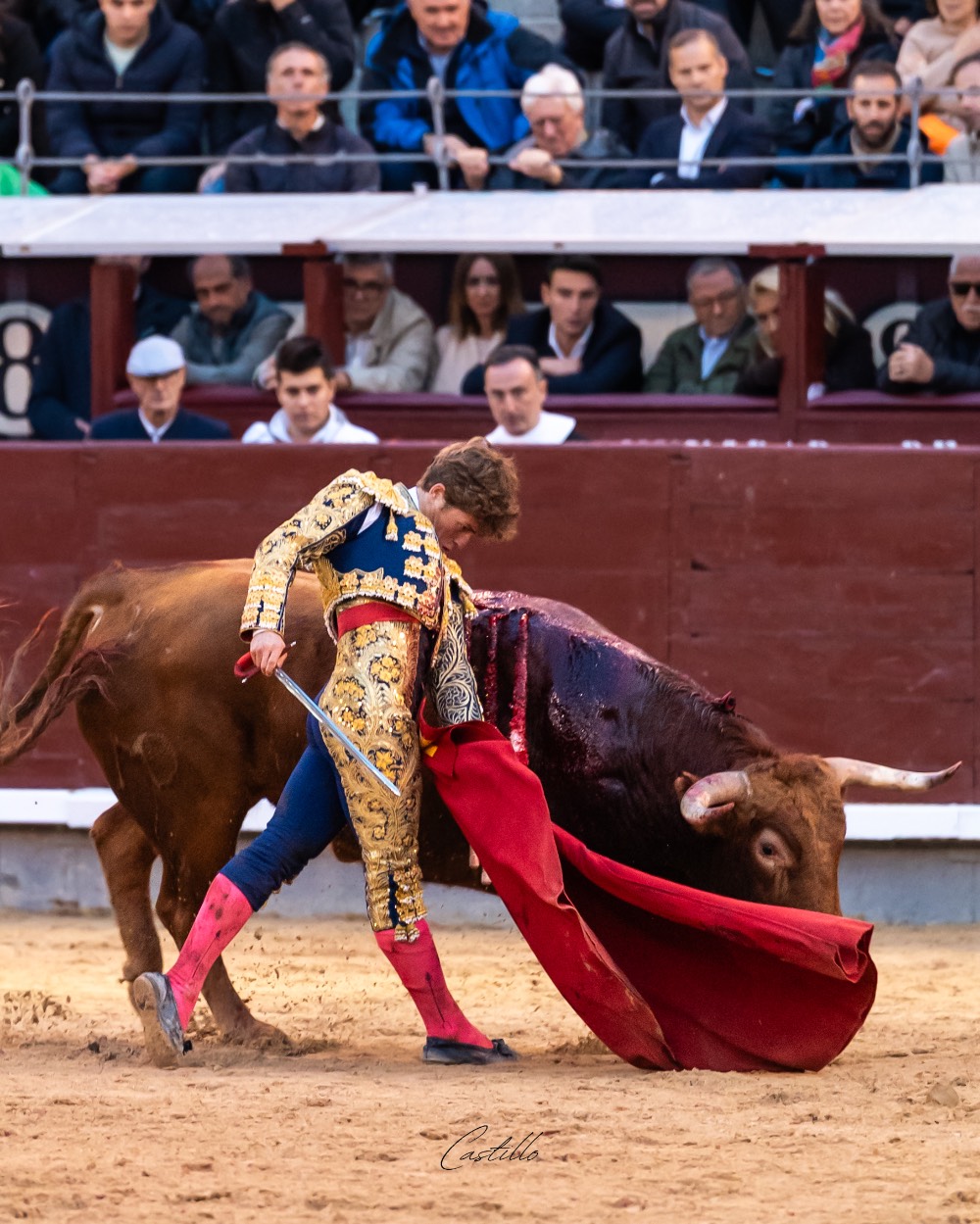 Imagen 20