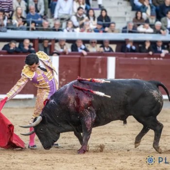 Imagen 3