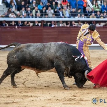 Imagen 4