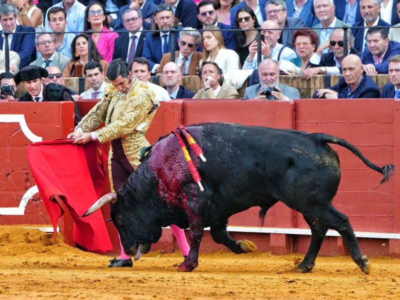 Feria de Santiago de Santander apuesta por Morante y las grandes figuras del toreo