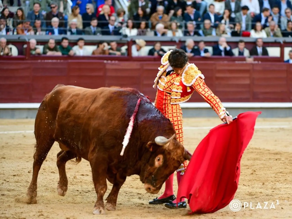 Imagen 2