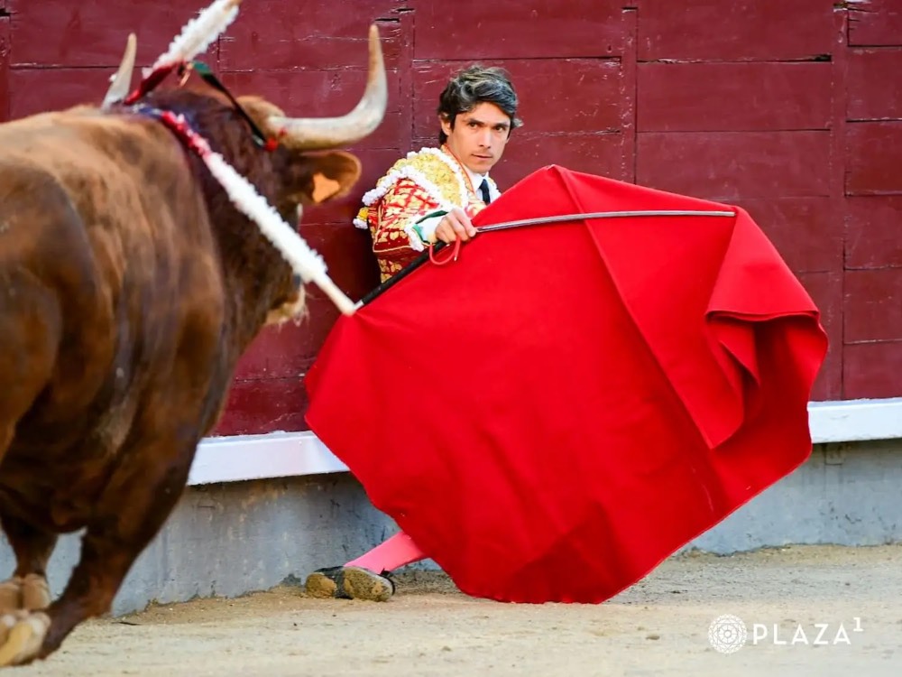 Imagen 3