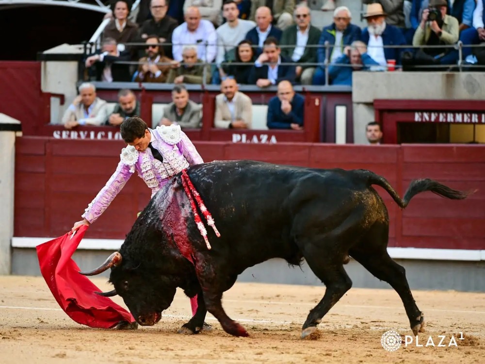 Imagen 6