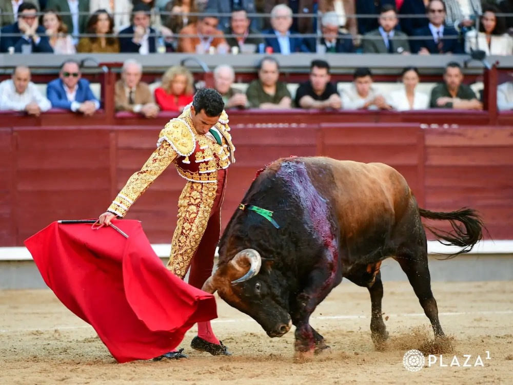 Imagen 7