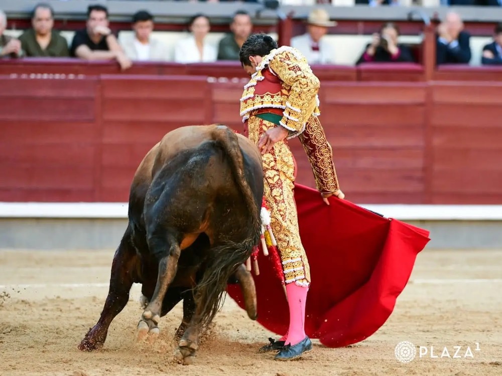 Imagen 8