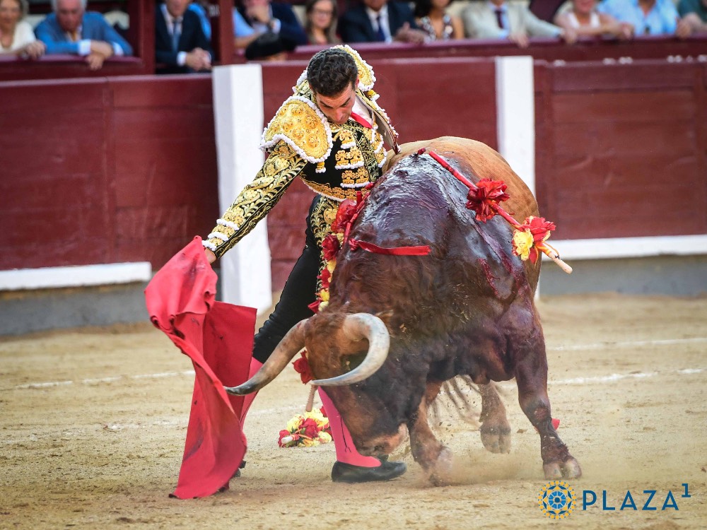 Imagen 1